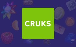 Alles over Cruks: slaan ze gegevens op van Nederlandse spelers?
