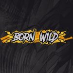 Born Wild gokkast
