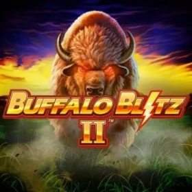 Buffalo blitz II logo