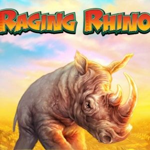 Raging Rhino logo