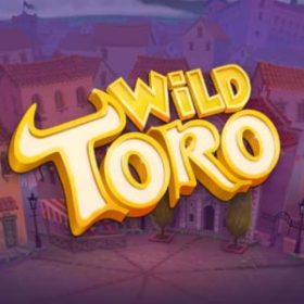 Wild Toro logo