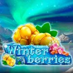 Winter Berries gokkast