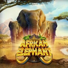 African elephant logo