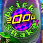 Brick Snake 2000 gokkast