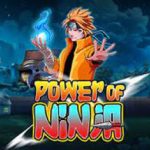 Power of Ninja gokkast