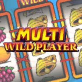 Multi Wild Player logo