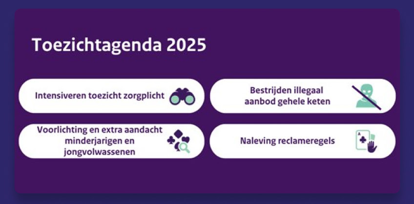 toezichtsagenda-2025-logo